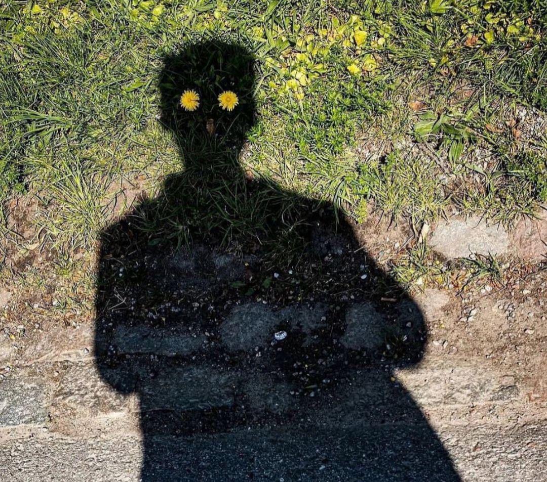 A garden appearance.