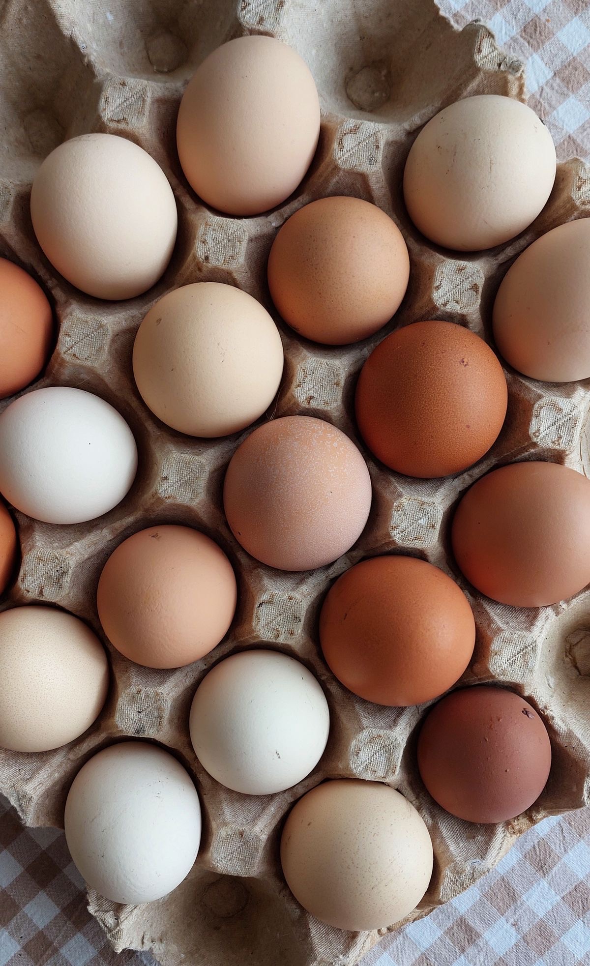 Remote Robot to Fetch Eggs