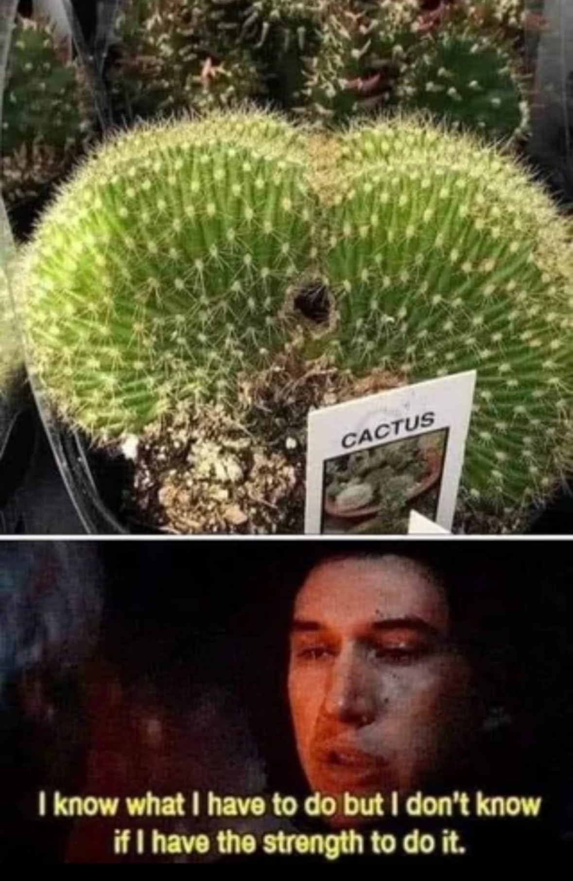 20 Butt Memes So Juicy That They Should Come With a Warning