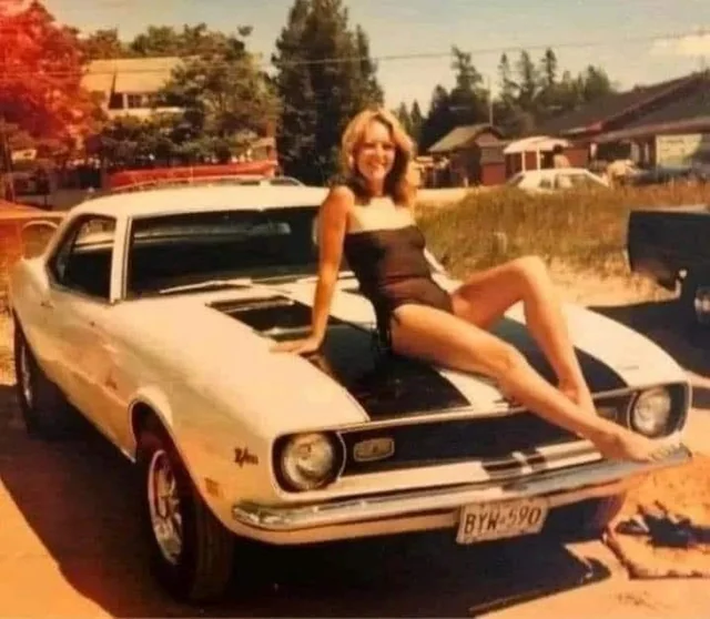 Sunshine, Camaro, for the carefree days