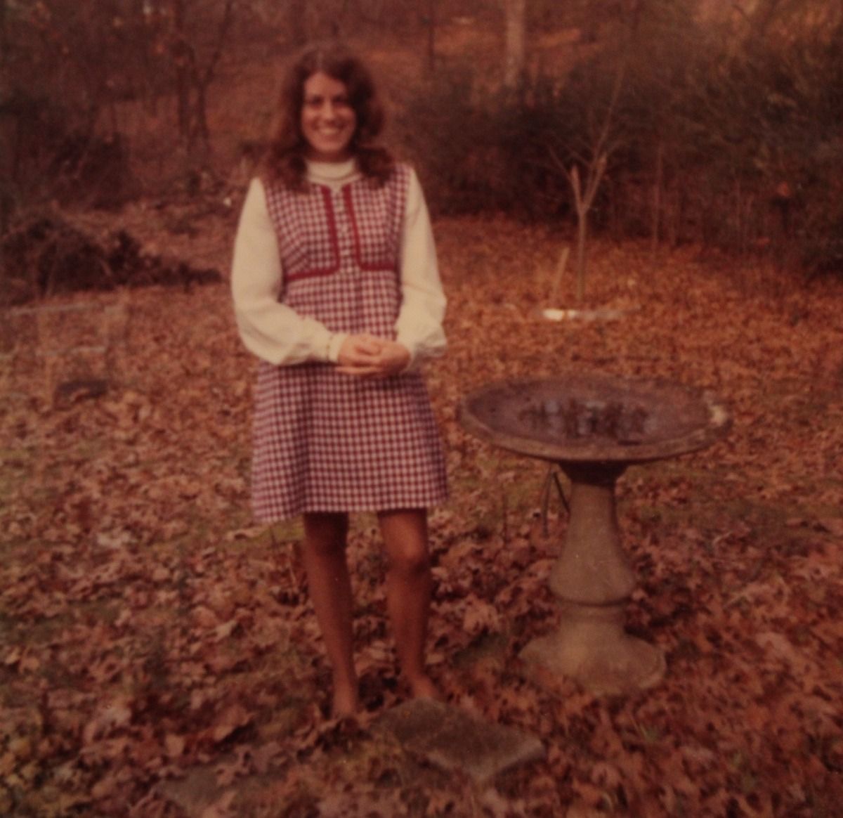 Falling Leaves, Floating Dreams