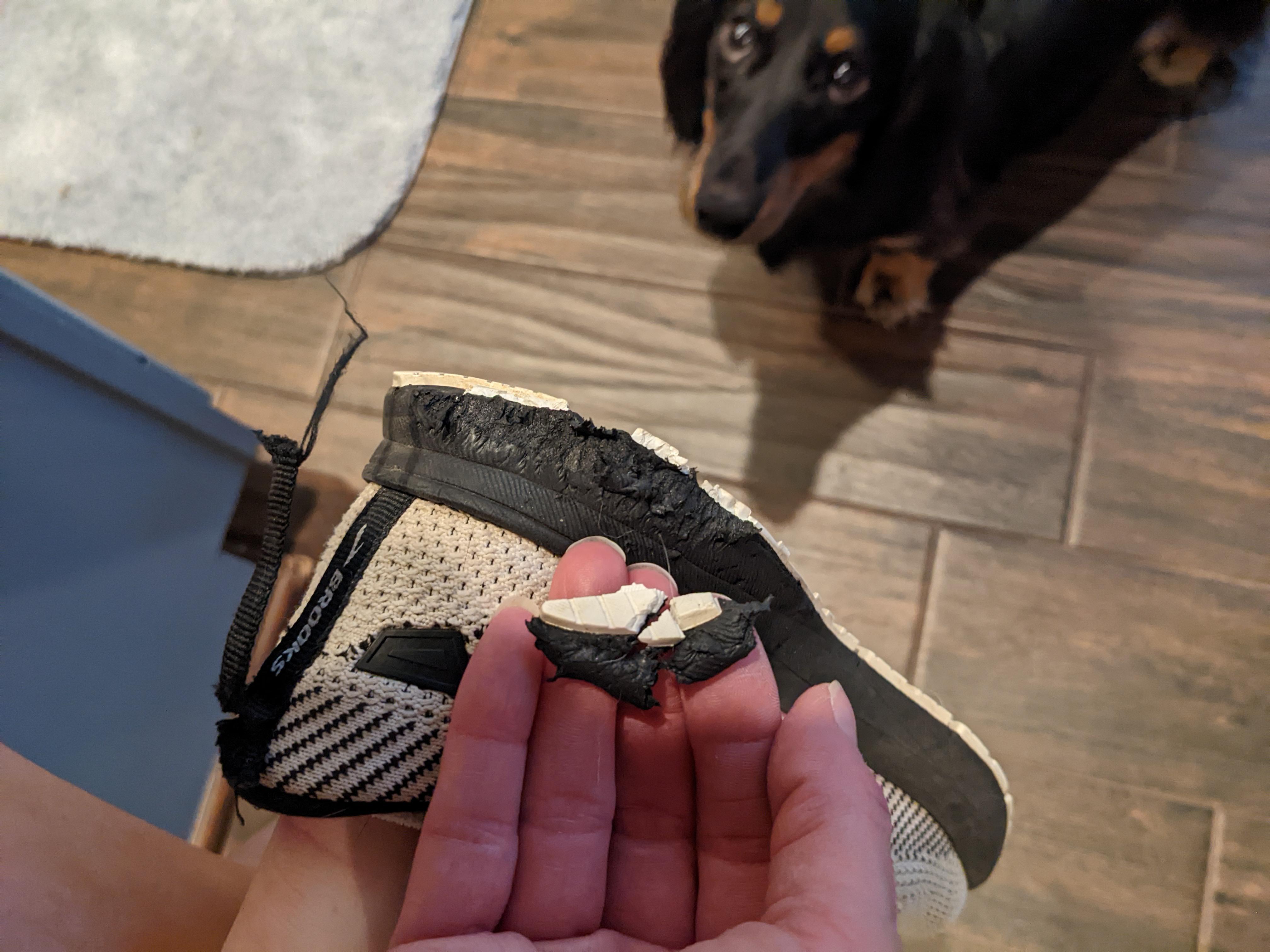 They told me shoes aren’t food. Joke’s on them, this one was delicious.