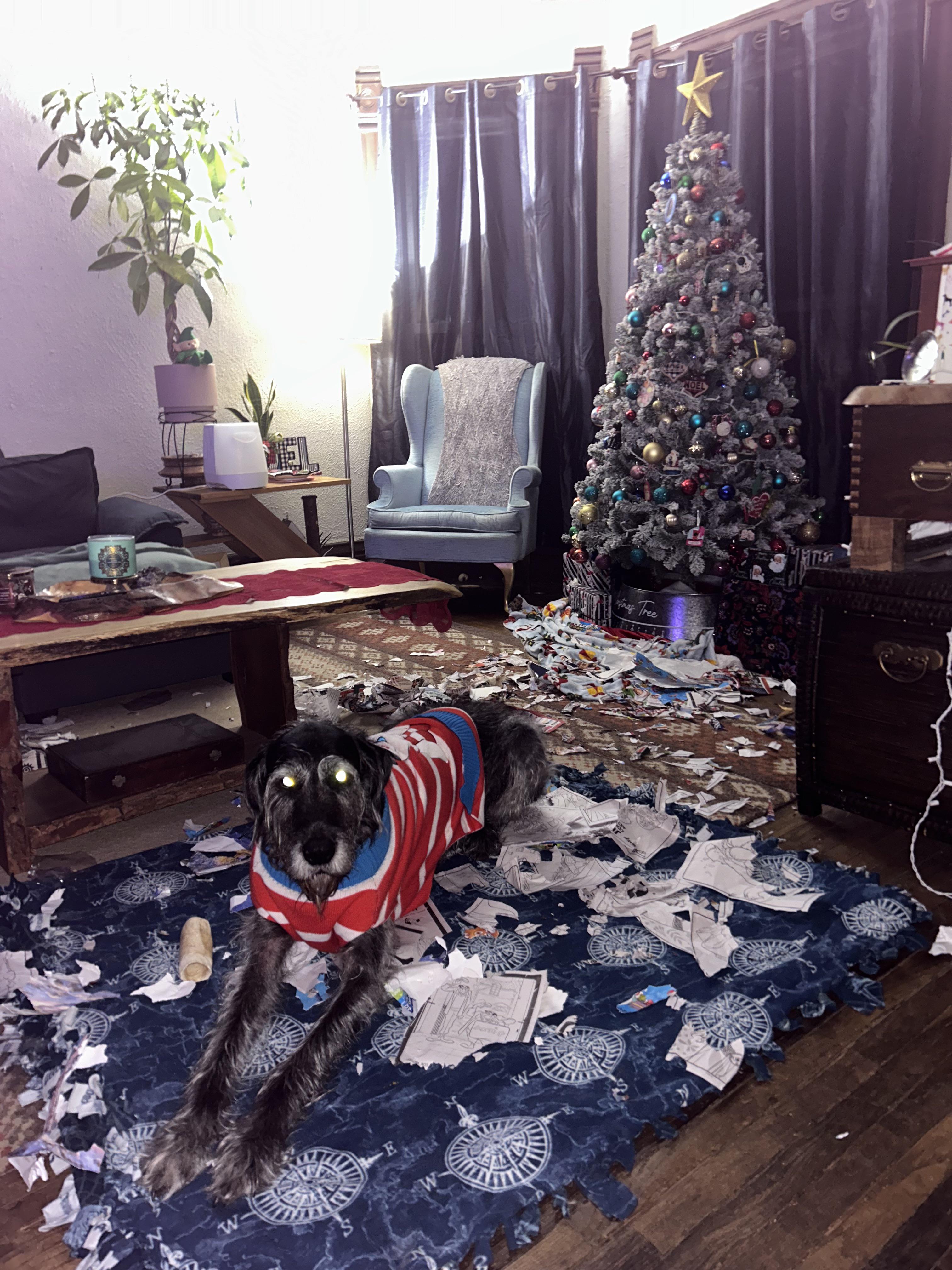 They left me alone with the presents. So I made it Christmas morning early.