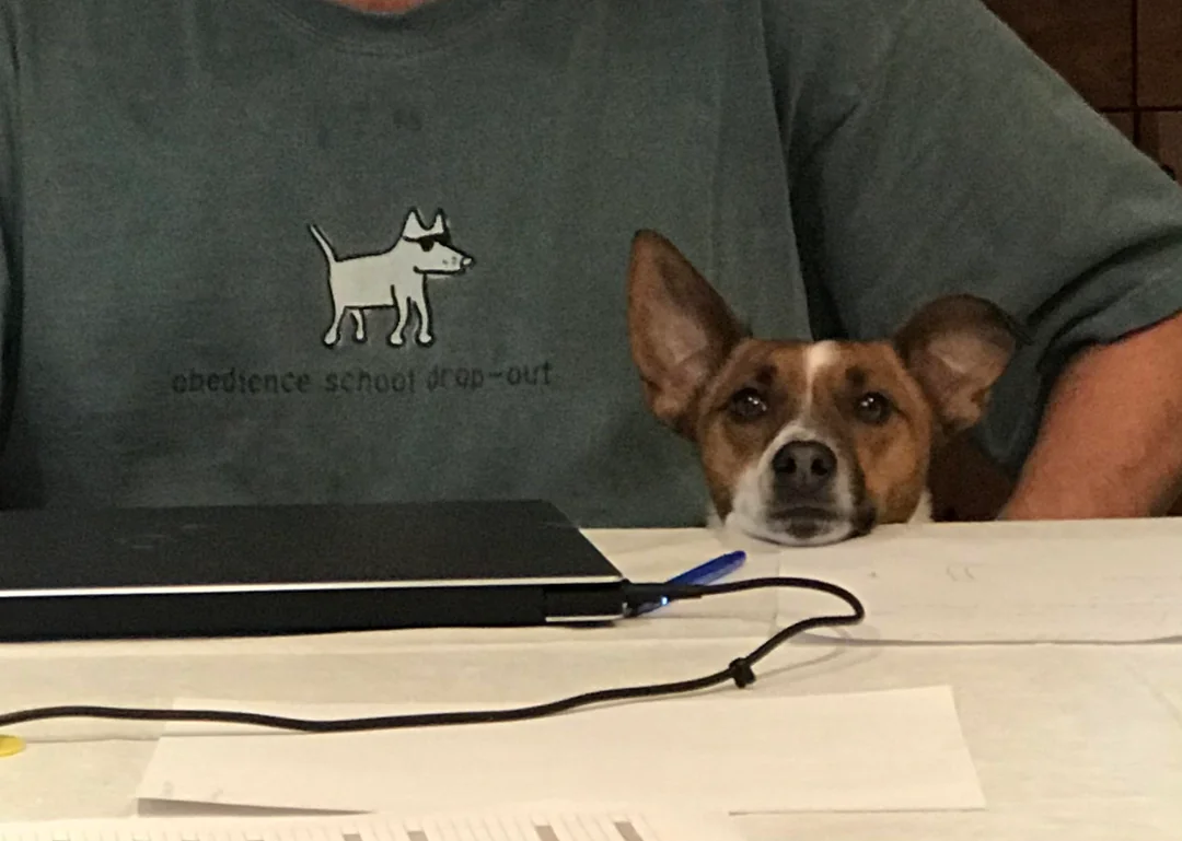 I was only 17 weeks old when I discovered my life’s purpose: chew through the internet cable. Turns out owners love their Wi-Fi.