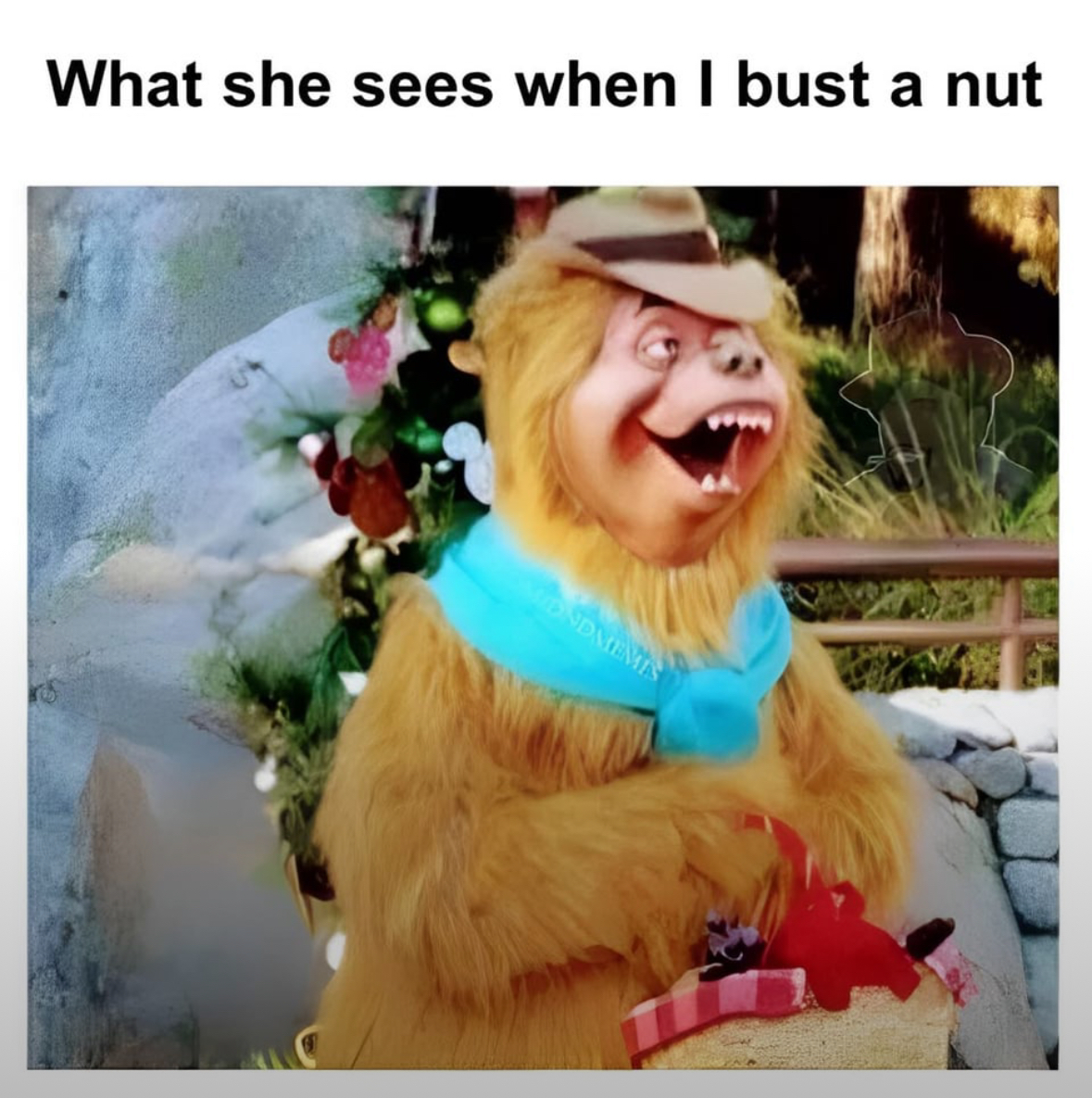 19 NSFW Memes That Could Start International Incidents