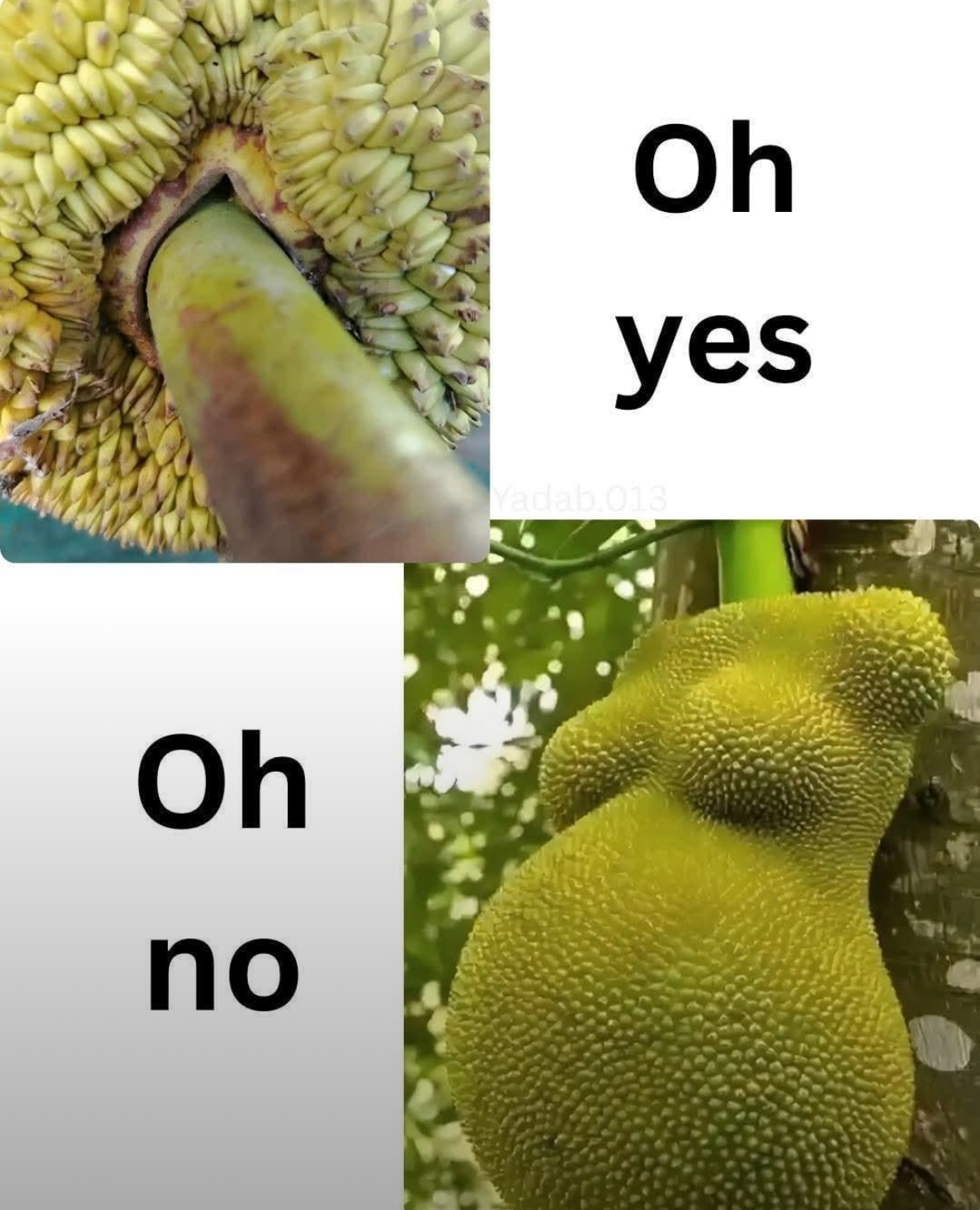 20 Memes So Filthy They'll Have You Side-Eyeing Your Phone in Public