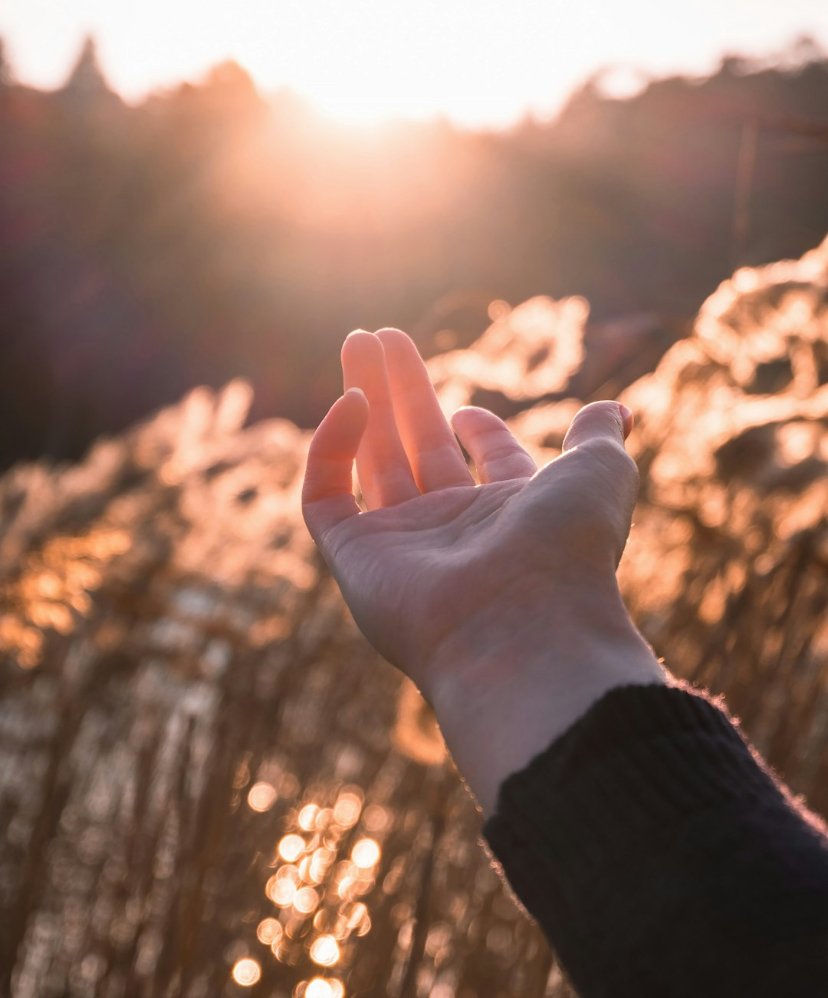 A Woman in the Light Held Out Her Hand