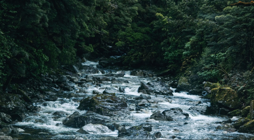 She Saw a River of Darkness