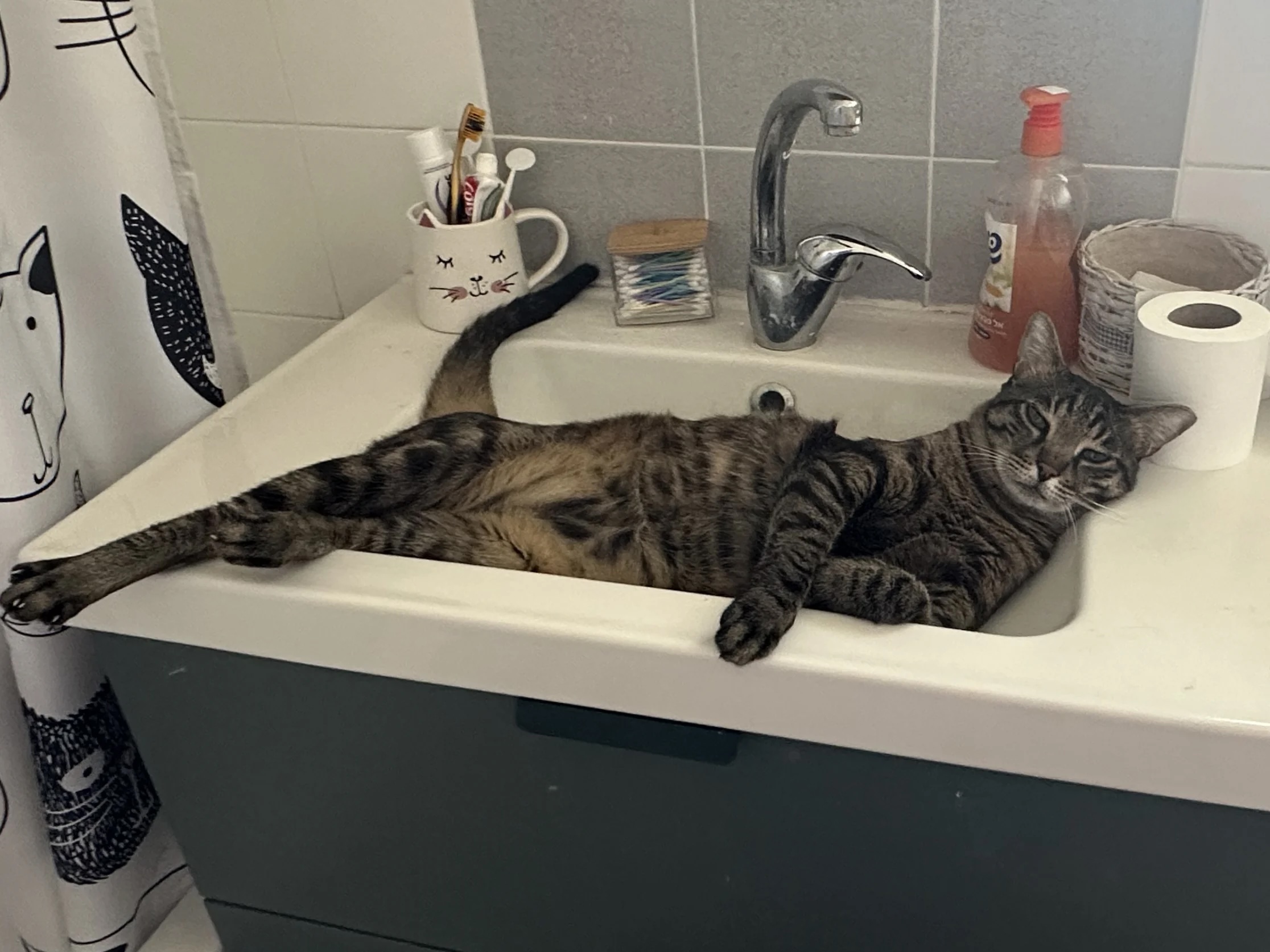 Sir, this is my spa appointment.