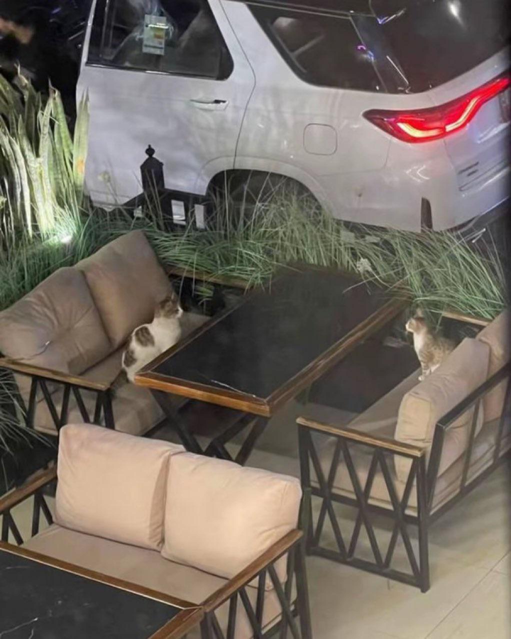 When the date is going fine but neither of you brought money for the bill.