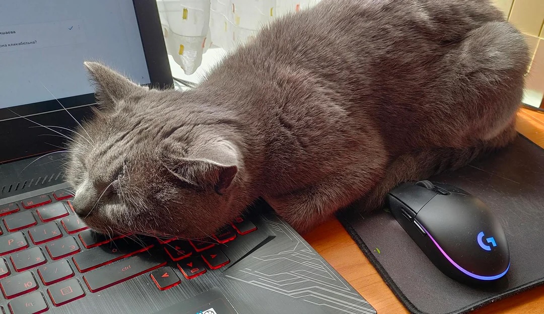 When you said we were pulling an all-nighter, I didn’t agree to this.