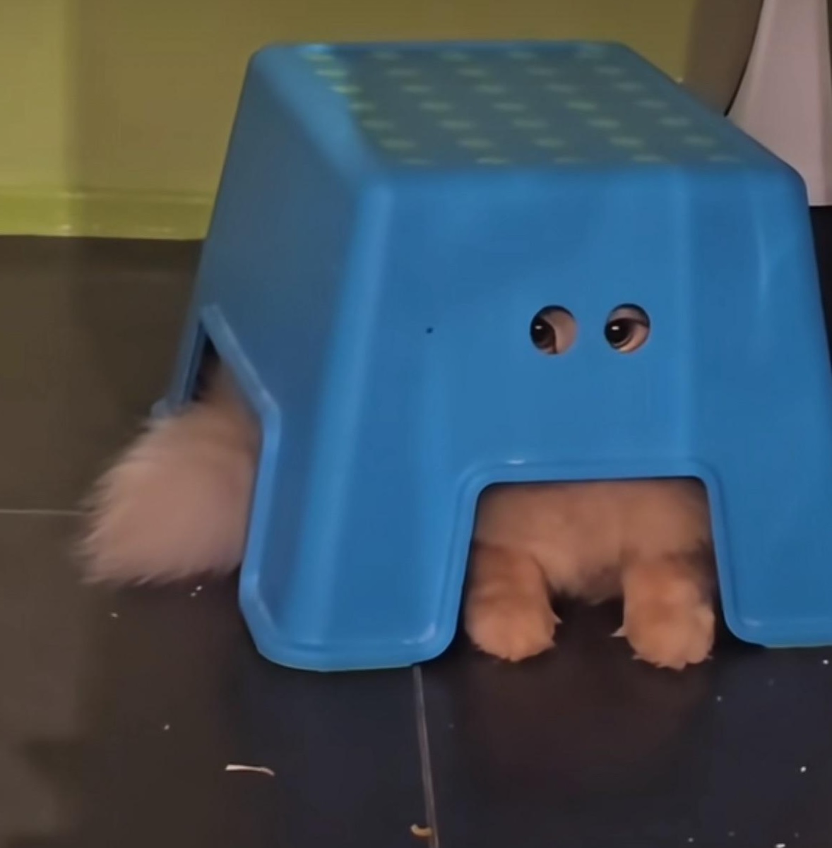 You can't see me right?