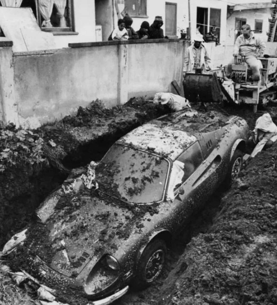 Buried Dino, Found ’78