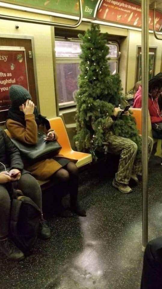 Tree Man Uses Subway Time Wisely
