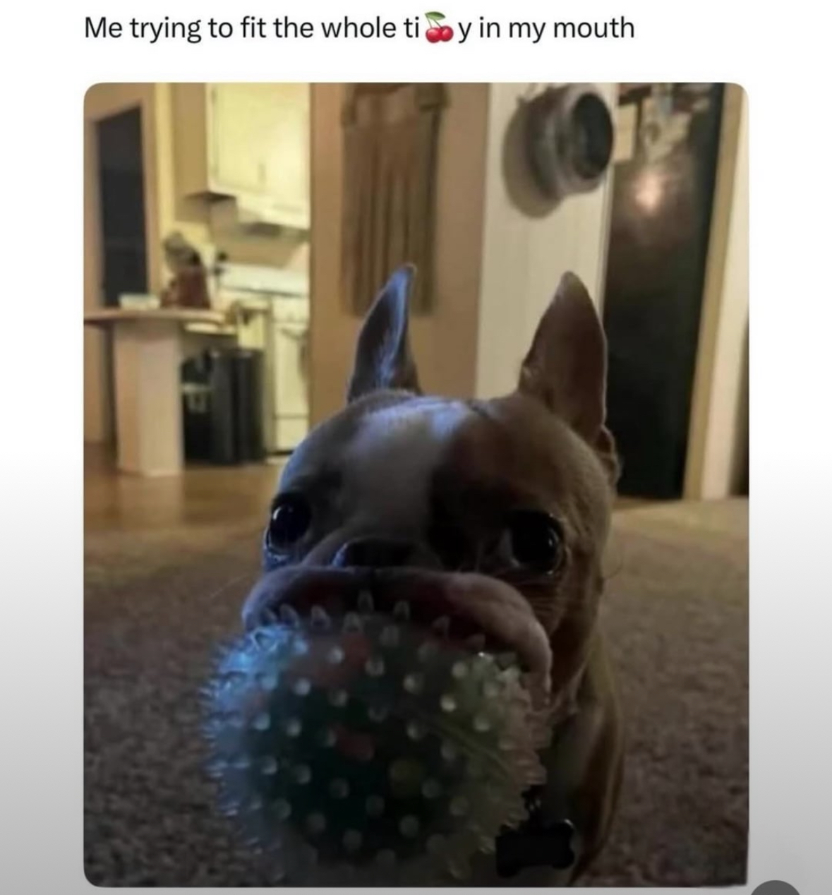 20 Boob Memes That Have Absolutely No Business Being This Chaotic