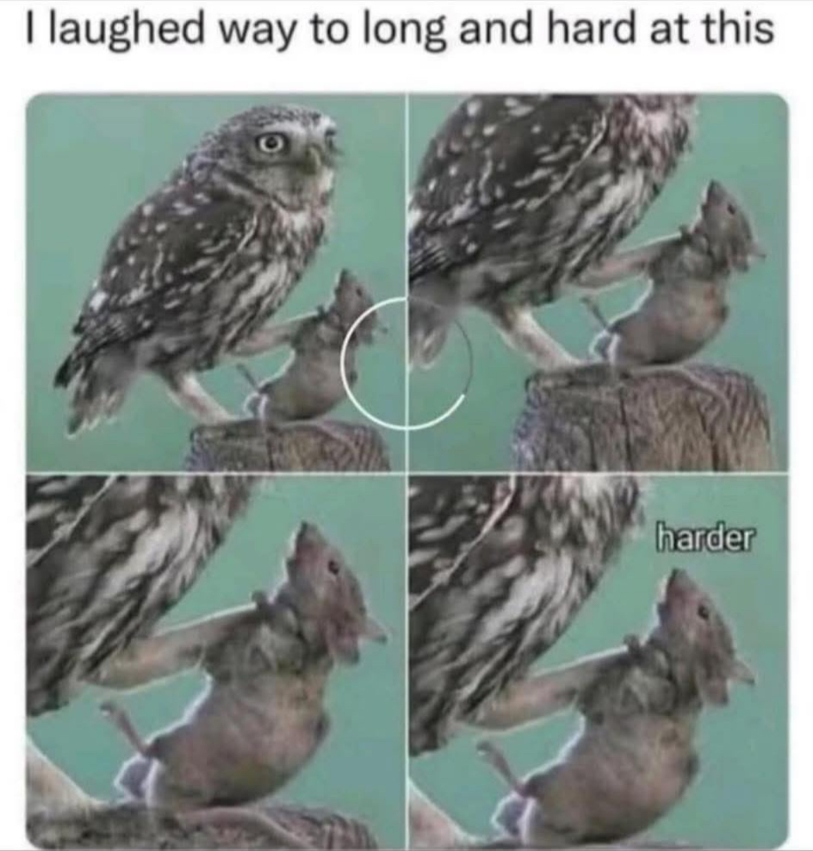 20 Kinky Memes So Wild They'll Have You Questioning Your Life Choices