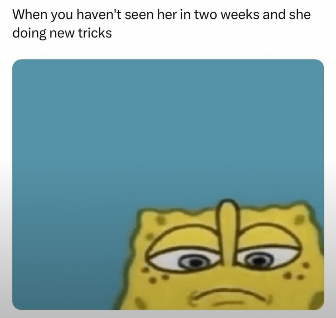 20 Horny Twitter Memes That Should Come With a Warning Label