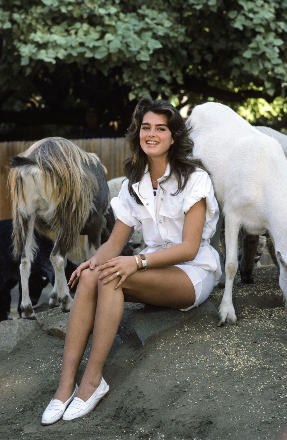 Brooke Shields