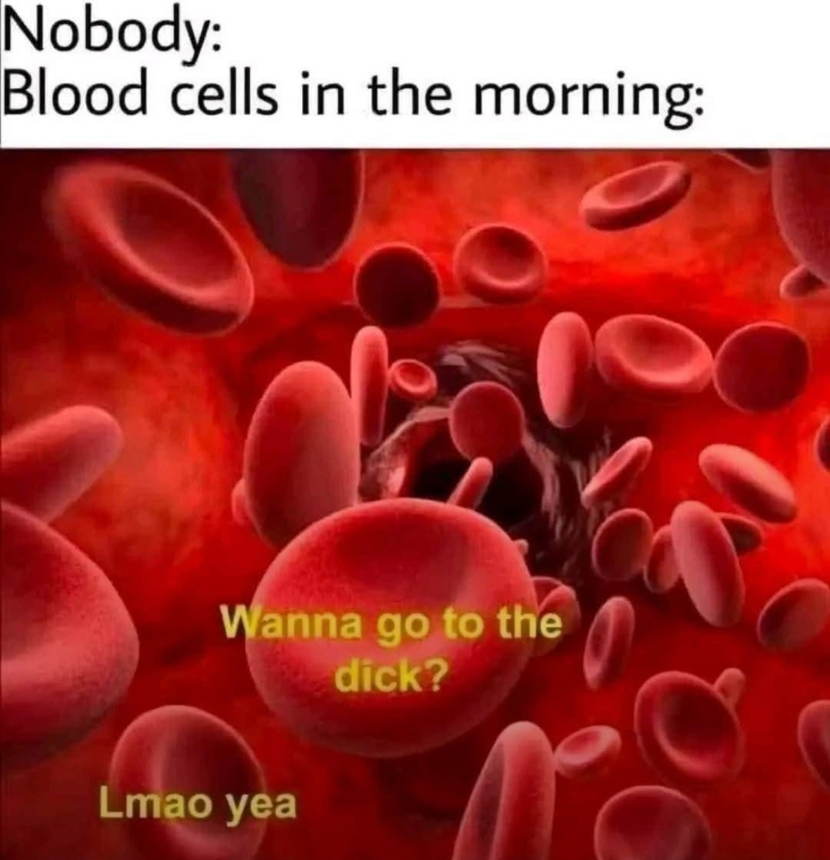 20 NSFW Memes That Are Basically Foreplay for Your Sense of Humor