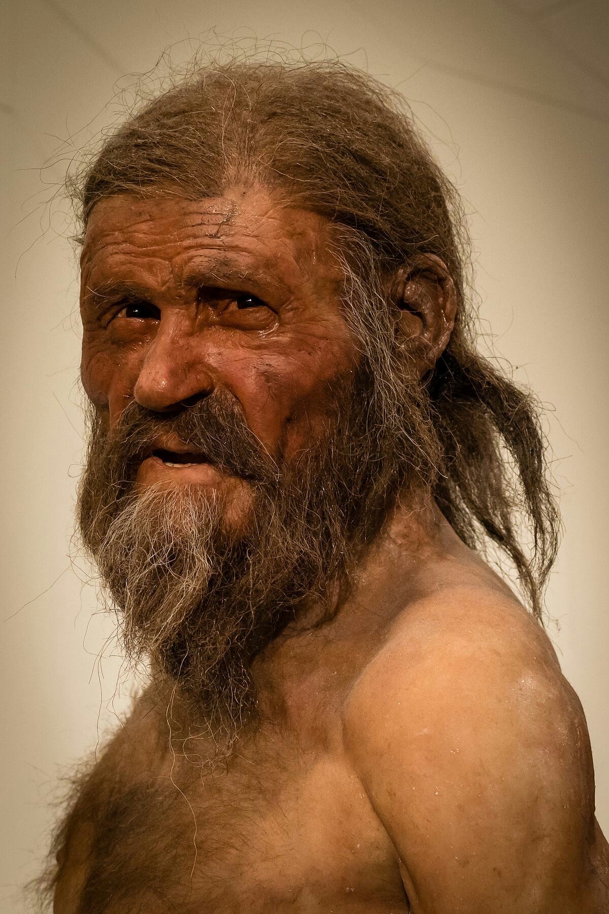 Ötzi the Iceman (Alps, 1991)