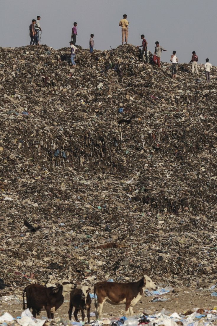 Toxic Fields: Farmers on Polluted Land