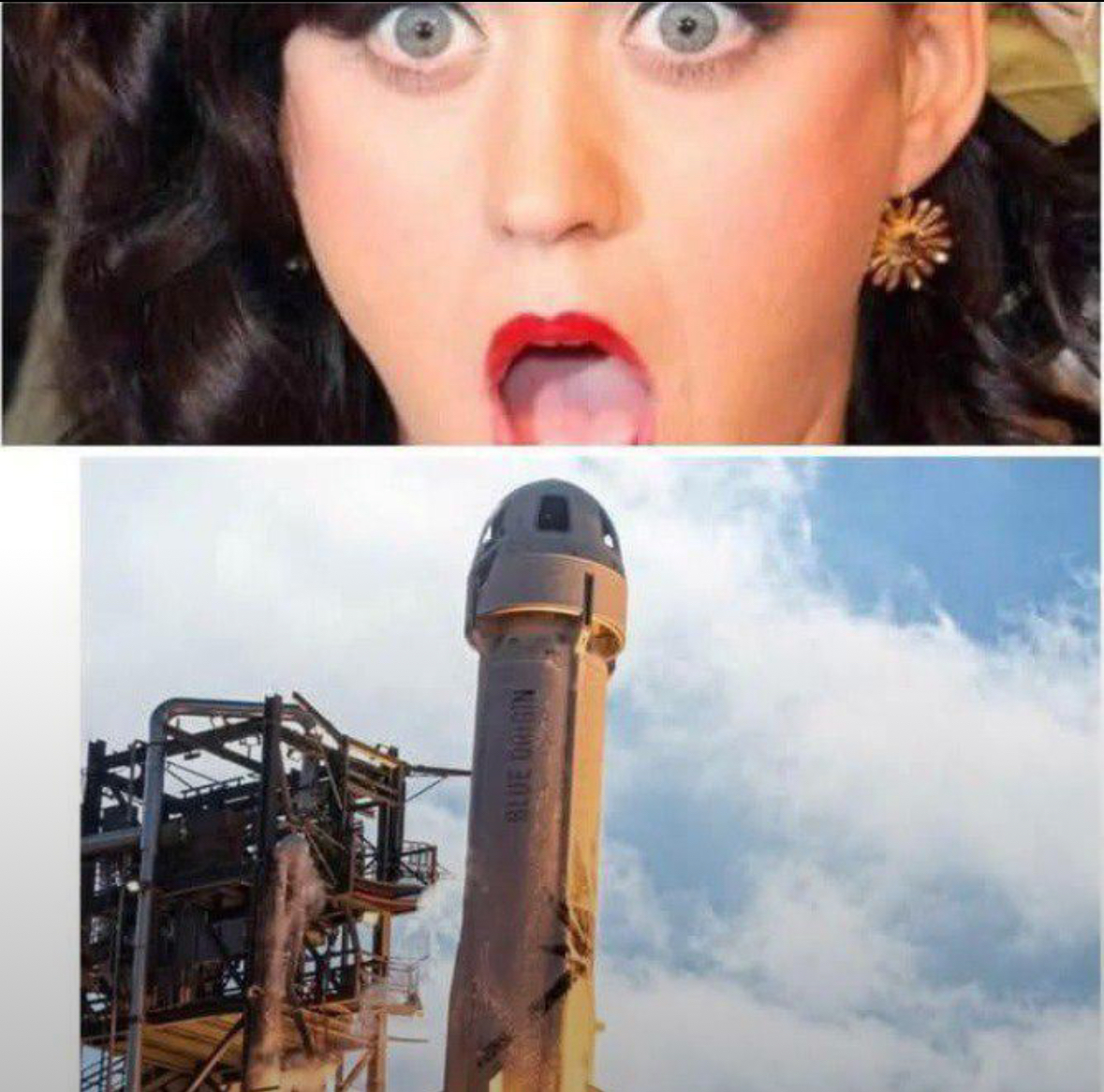 20 Dick Memes So Unhinged You'll Need a Cold Shower After