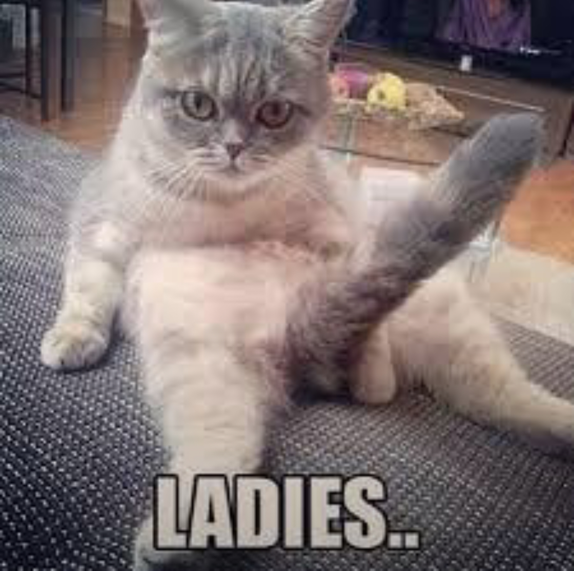 20 Dick Memes So Unhinged You'll Need a Cold Shower After