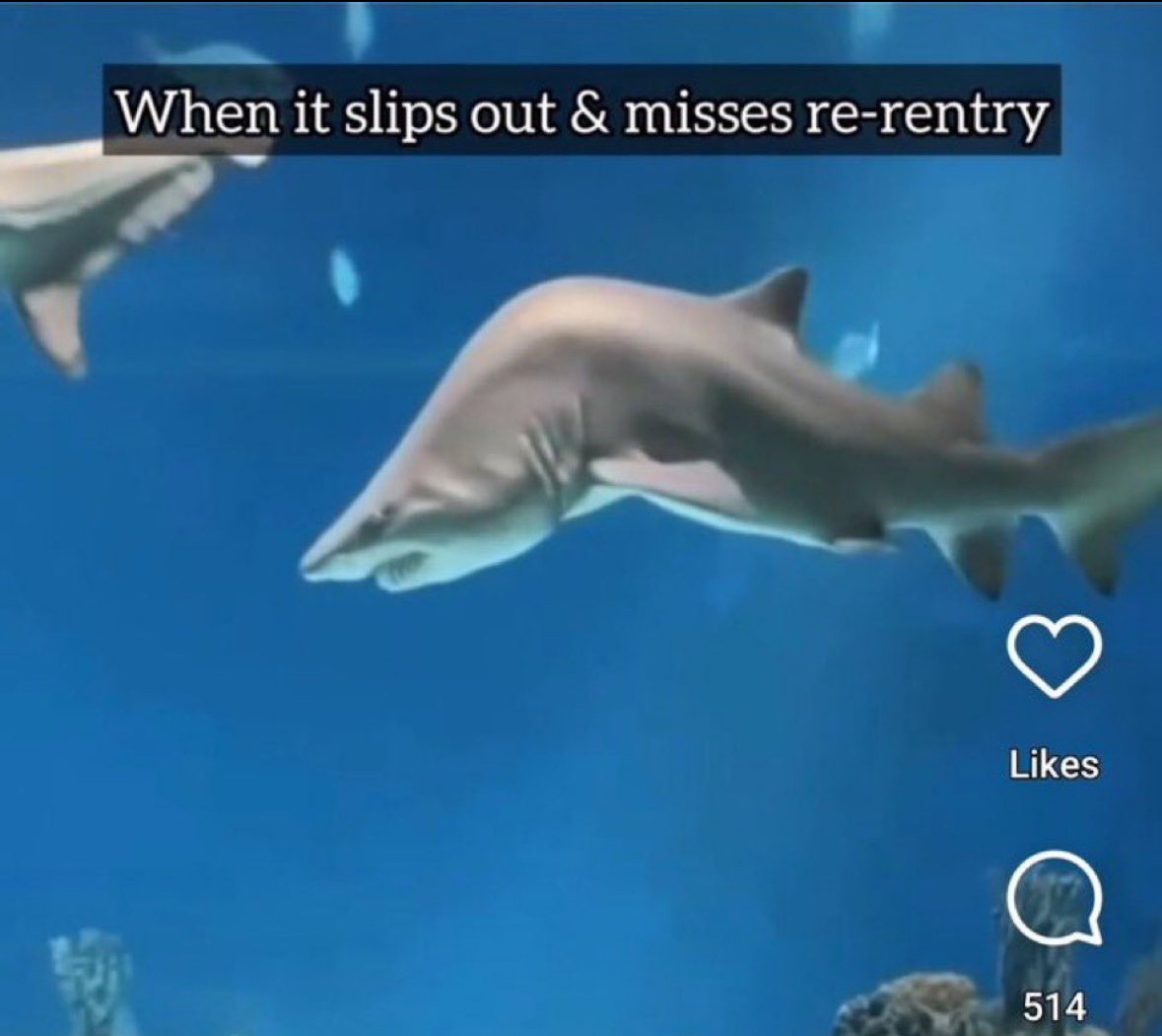 20 Dick Memes So Unhinged You'll Need a Cold Shower After