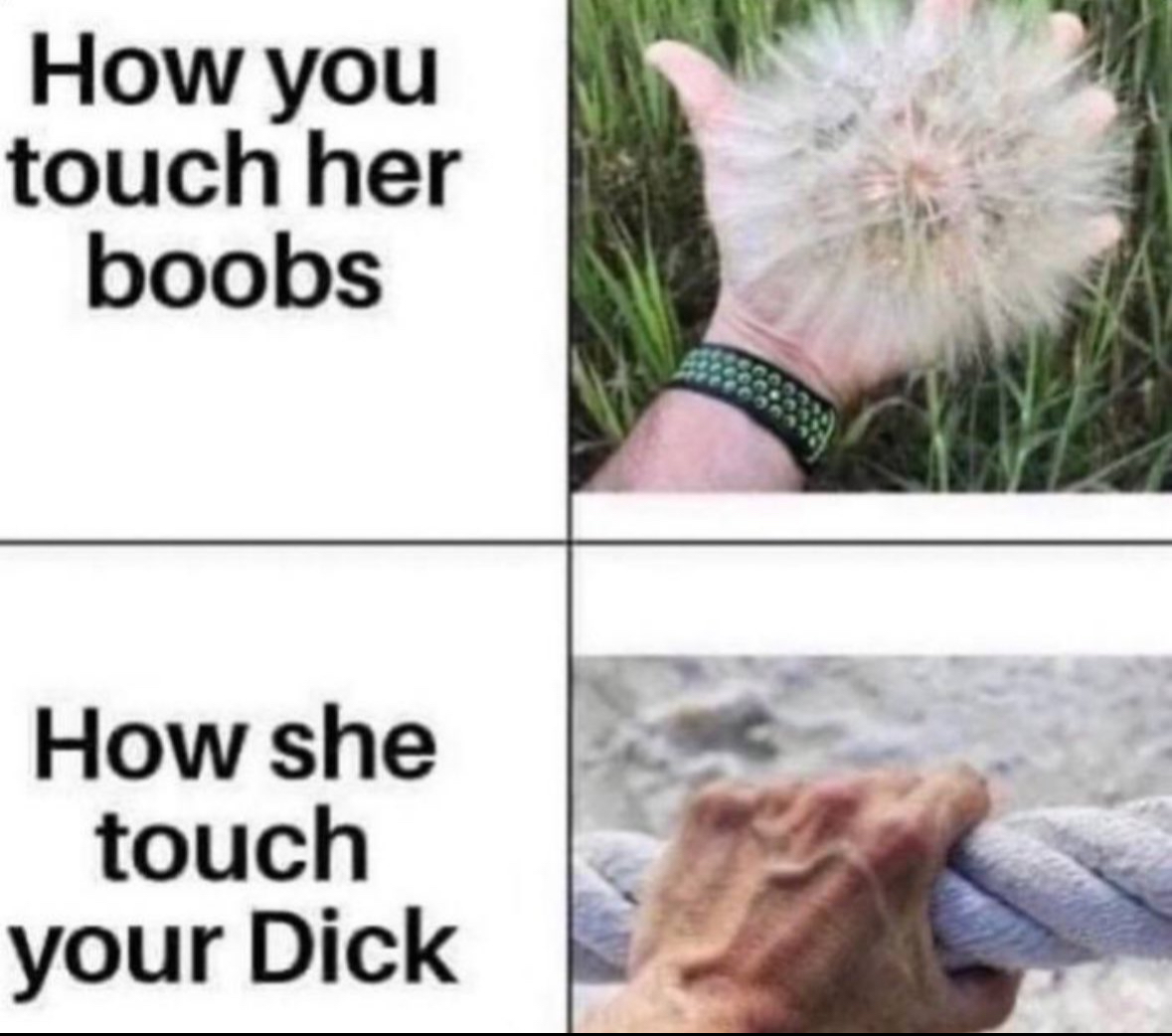 20 Dick Memes So Unhinged You'll Need a Cold Shower After