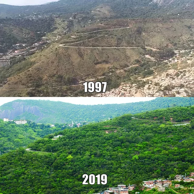 Rio de Janeiro reforestation, 1997 vs 2019
