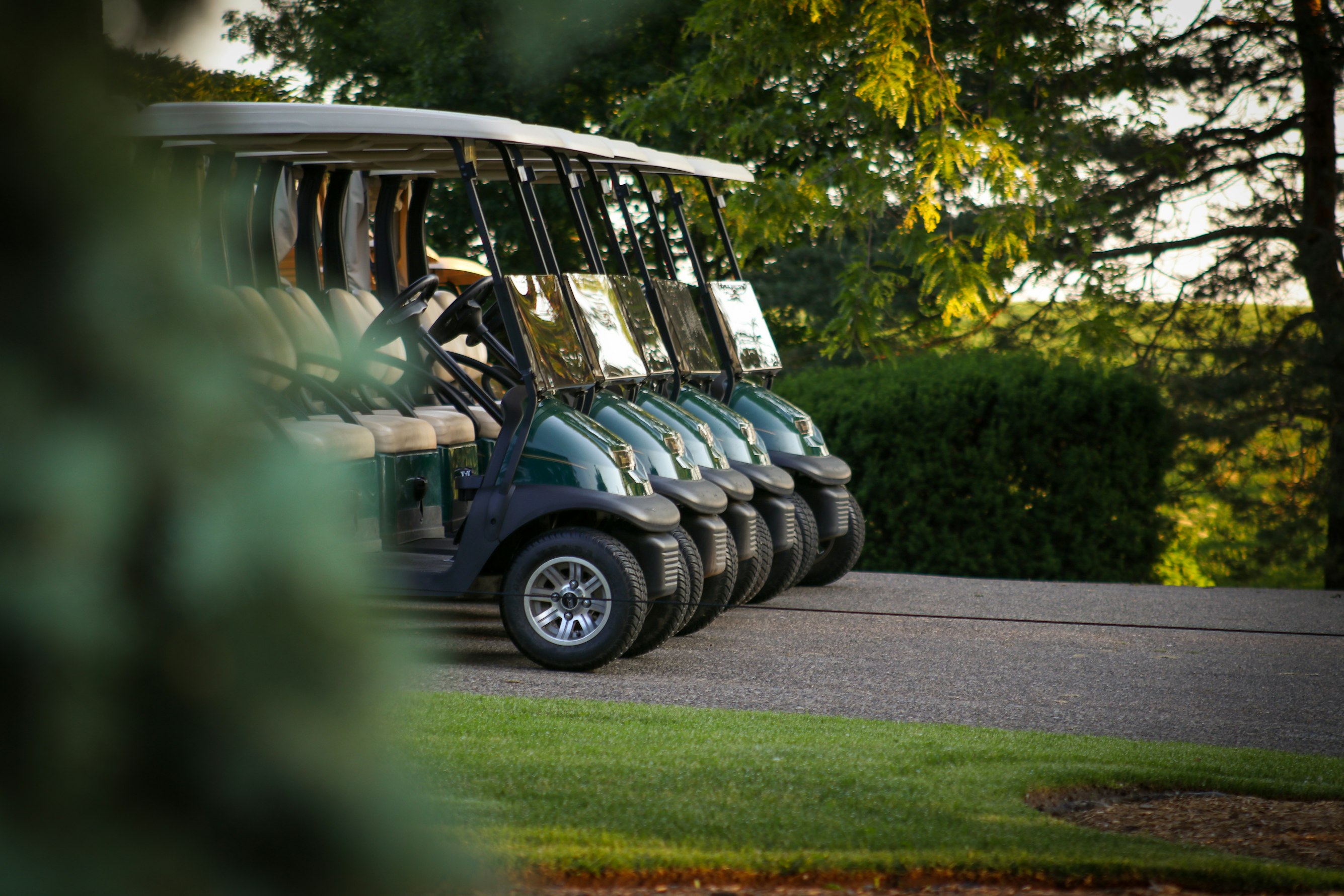 On the way to the reception, my sister’s ball gown got caught under a golf cart tire. When her new husband hit the gas, the skirt ripped clean off, leaving her sobbing in her undergarments.