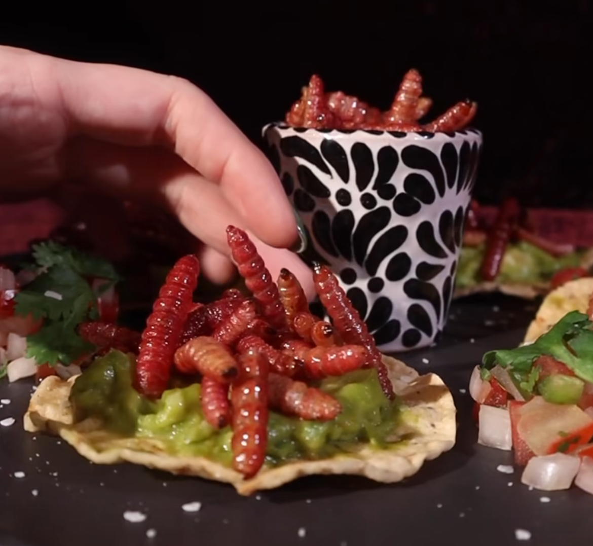 Cactus Worm Tacos (Gusanos de Maguey)