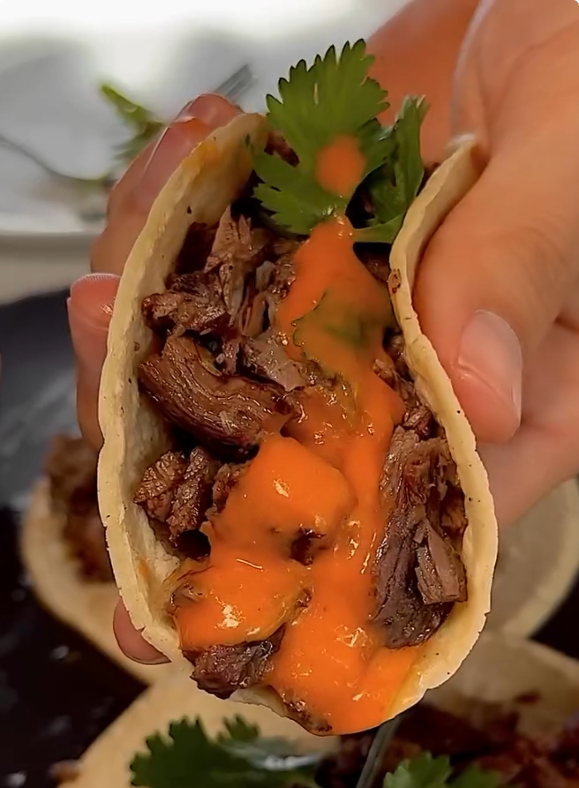 Reindeer Meat Tacos