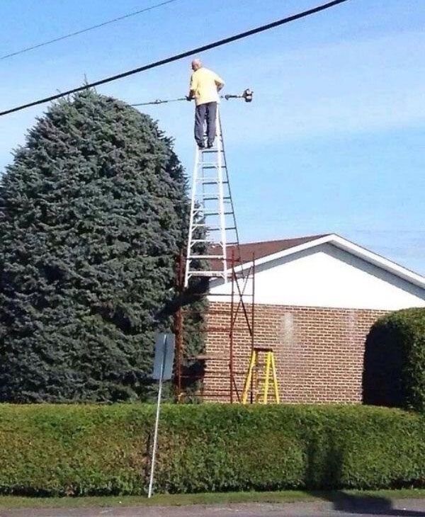 Ladder + Weak Frame + Tall Tree = Lawsuit in Progress