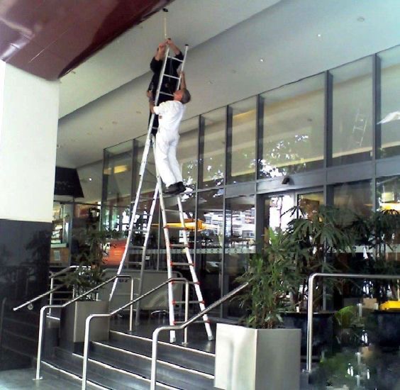 Ladder Love: When Codependency Goes Vertical