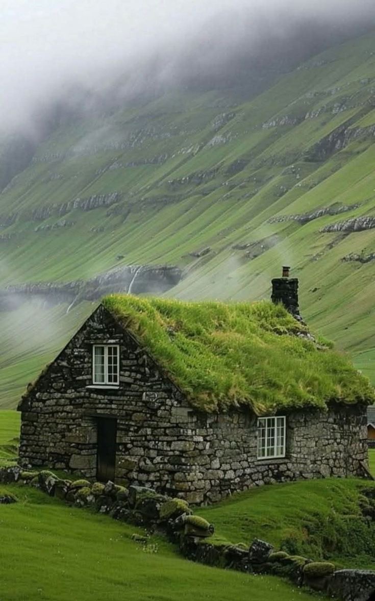 The Forest Took Over and the Roof Said OK