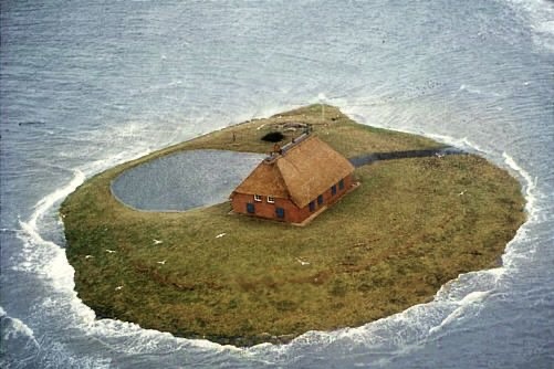 Just Enough Land for One House and Zero Mistakes