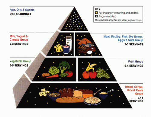 The food pyramid is the ideal diet