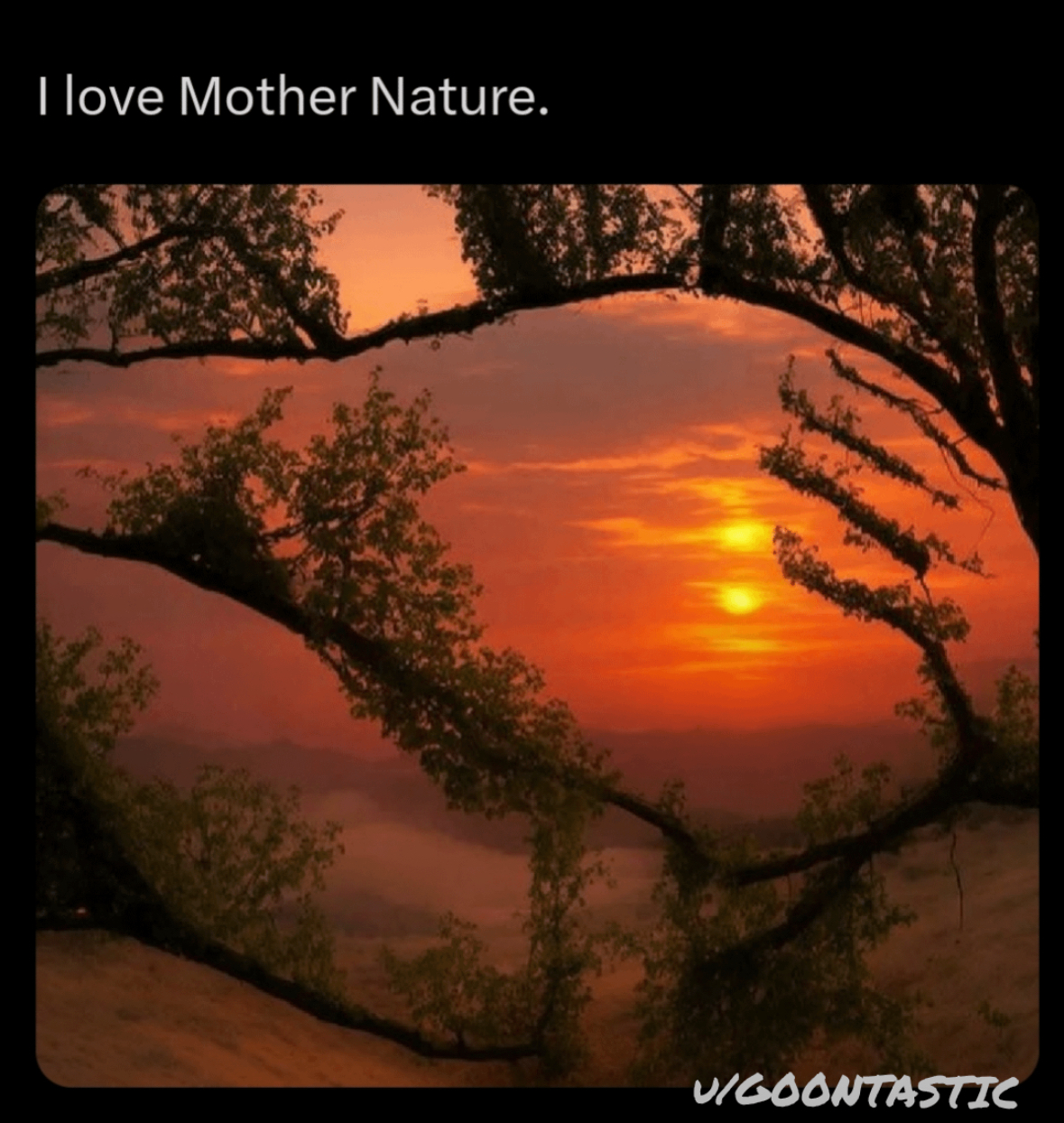 20 NSFW Tweets That Will Make Your DMs Suffer