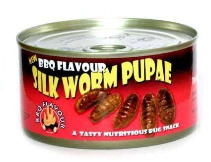 Silkworm Pupae