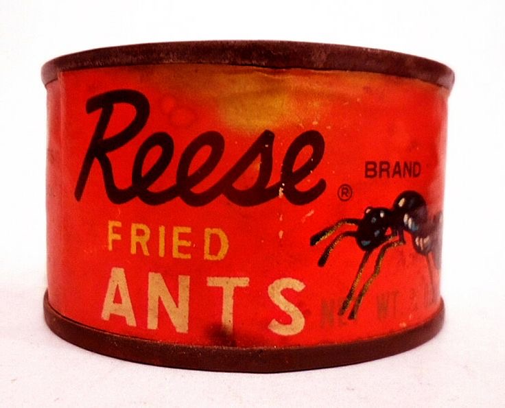Fried Ants