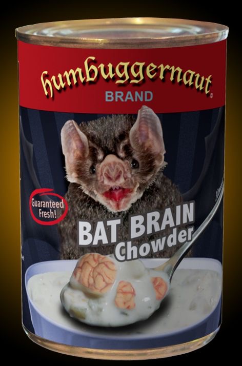 Bat Brain