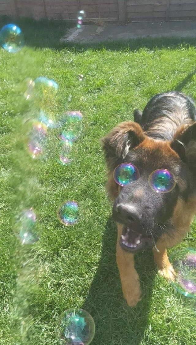 Imagine All the Bubbles...