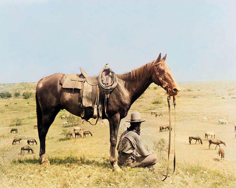 Texas cowboy and his horse, 1910