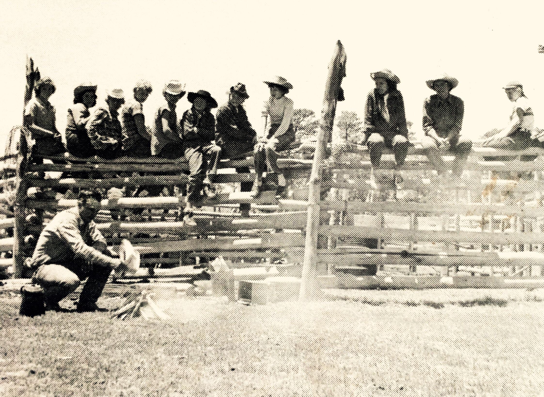 Horseback riding ranch