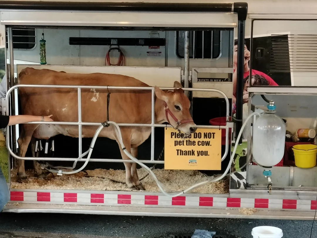 North Carolina state fair 