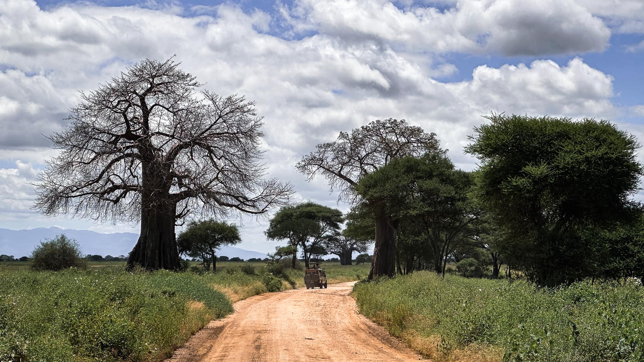 Now it's not only about the animals, but the landscapes too.