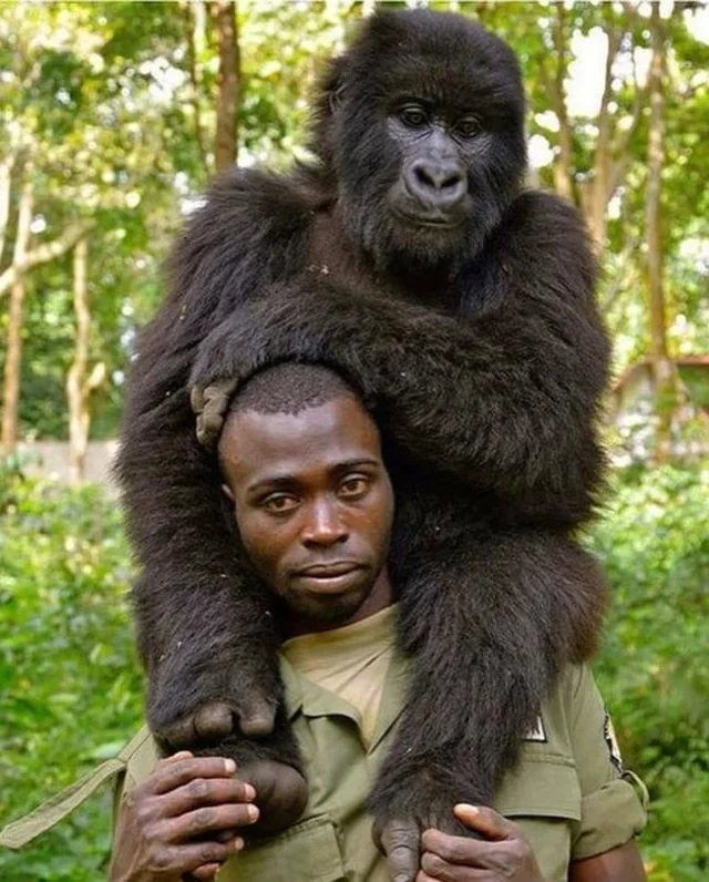 Now Safaris are also about your selfie game.