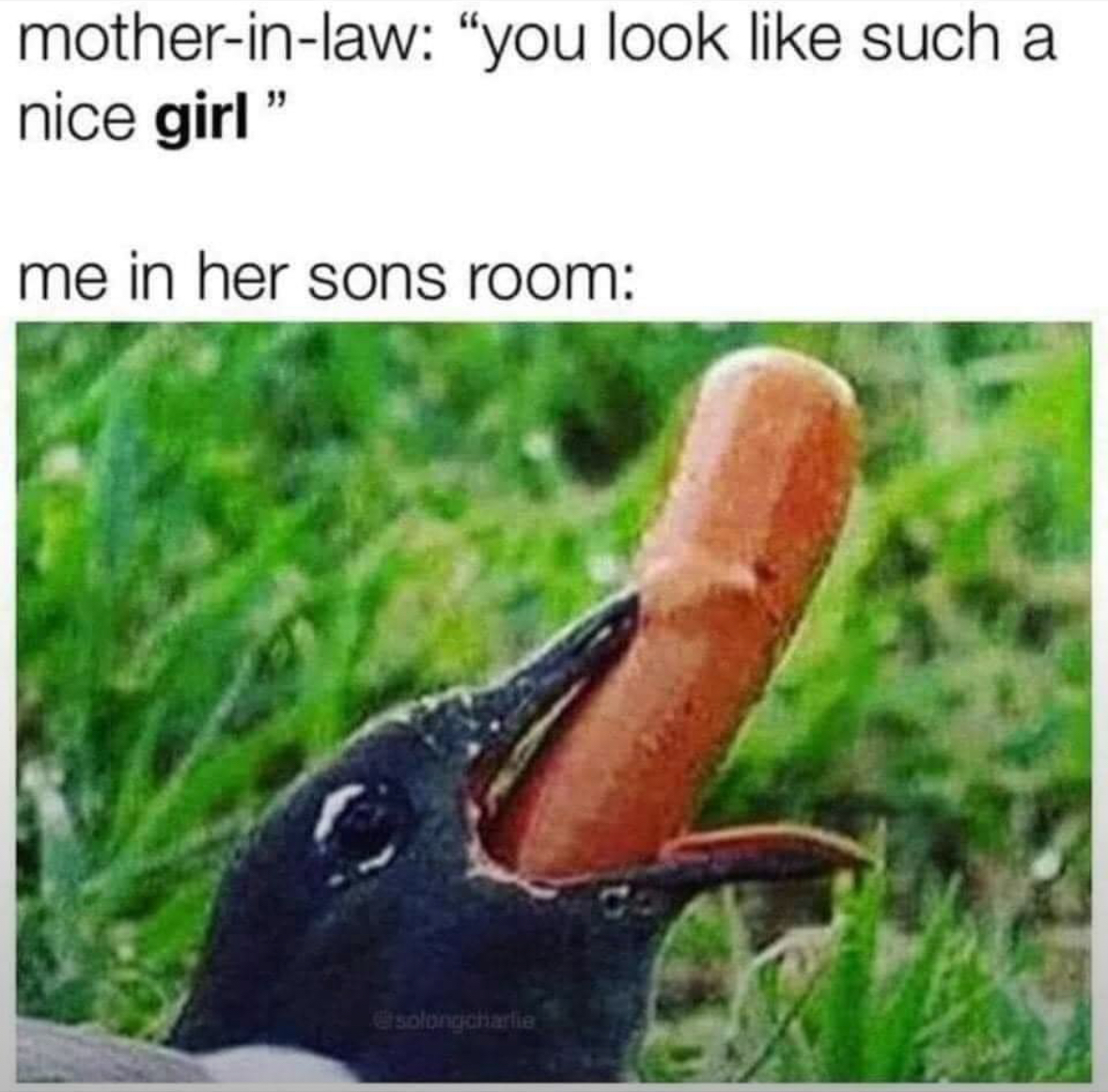 20 Spicy Memes That Will Get Your Screen Time Out of Control