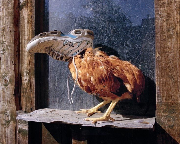 KFC’s New Spicy Chicken Hat